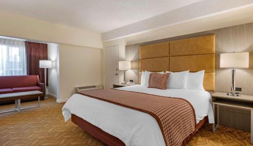 Larger King Room with Roll-In Shower and Sofa Bed - Disability Access/Non-Smoking