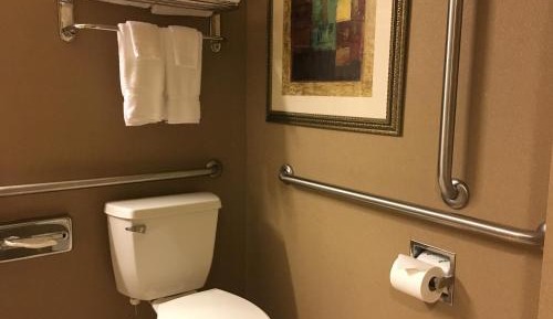 King Room with Roll-In Shower - Mobility Access